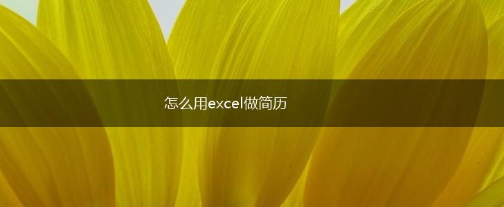 怎么用excel做简历,第1张