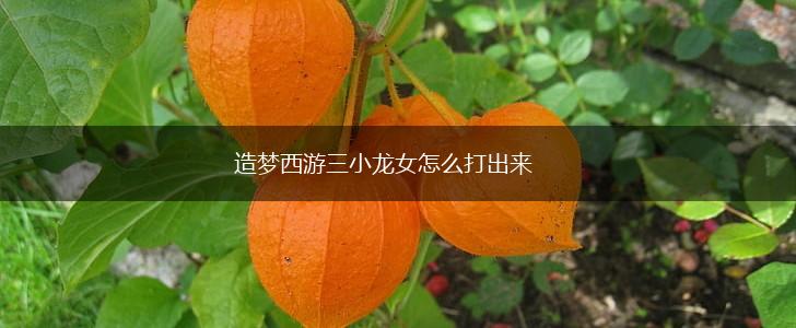 造梦西游三小龙女怎么打出来,第1张