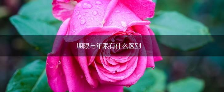 期限与年限有什么区别,第1张