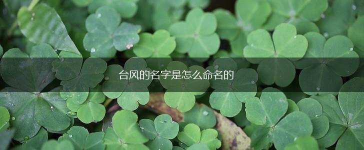 台风的名字是怎么命名的,第1张