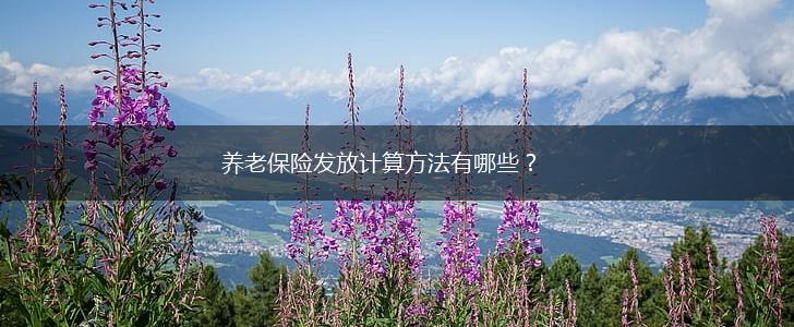 养老保险发放计算方法有哪些？,第1张