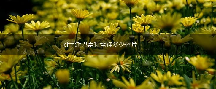 cf手游巴雷特雷神多少碎片,第1张