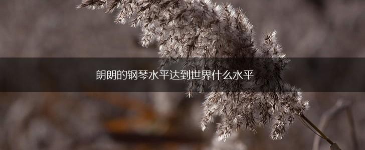 朗朗的钢琴水平达到世界什么水平,第1张