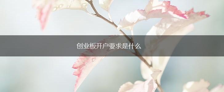 创业板开户要求是什么,第1张