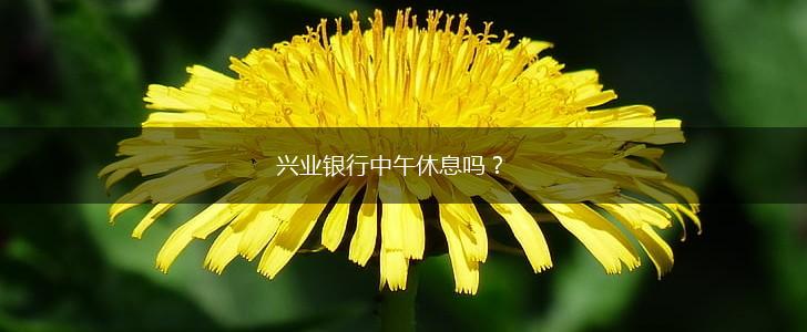 兴业银行中午休息吗？,第1张