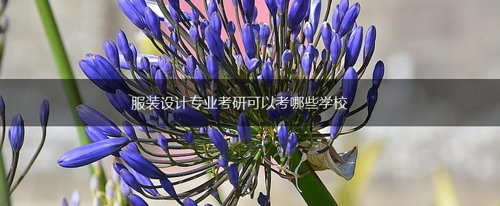 服装设计专业考研可以考哪些学校,第1张 服装设计专业考研可以考哪些学校,第1张