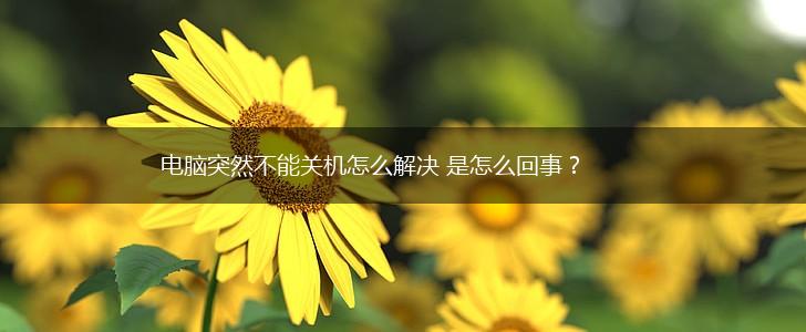 电脑突然不能关机怎么解决 是怎么回事？,第1张