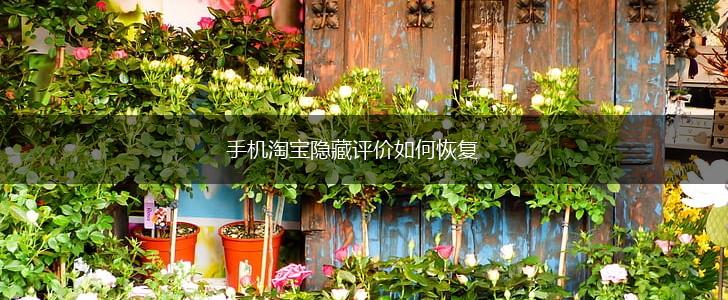 手机淘宝隐藏评价如何恢复,第1张
