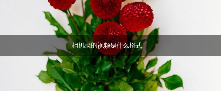 相机录的视频是什么格式,第1张
