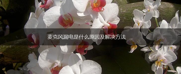 麦克风漏电是什么原因及解决方法,第1张