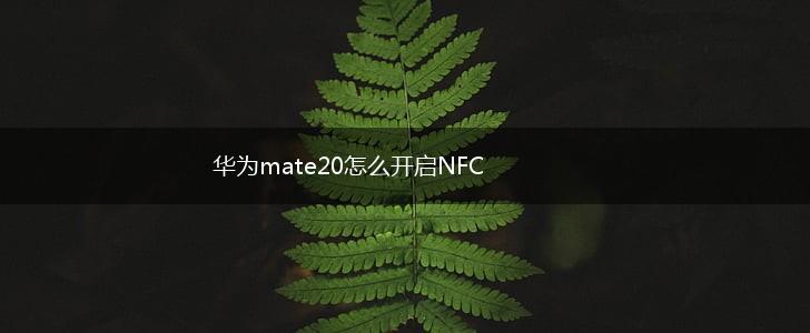 华为mate20怎么开启NFC,第1张