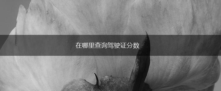 在哪里查询驾驶证分数,第1张