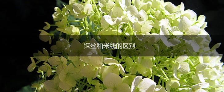 饵丝和米线的区别,第1张