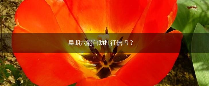 星期六能自助打征信吗？,第1张