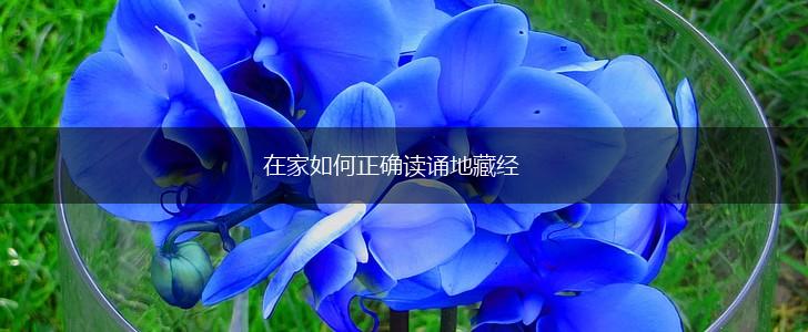 在家如何正确读诵地藏经,第1张