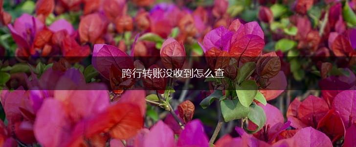 跨行转账没收到怎么查,第1张