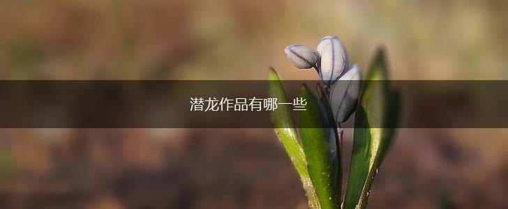 潜龙作品有哪一些,第1张
