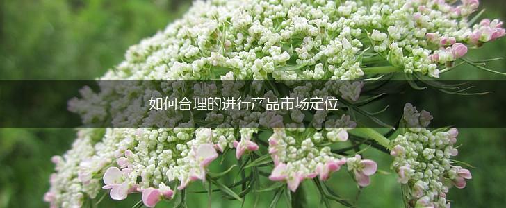 如何合理的进行产品市场定位,第1张