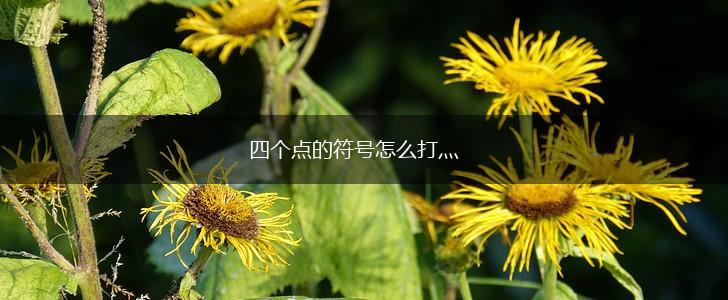 四个点的符号怎么打灬,第1张