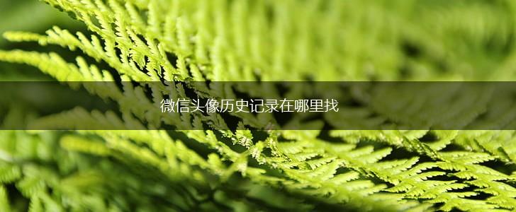 微信头像历史记录在哪里找,第1张