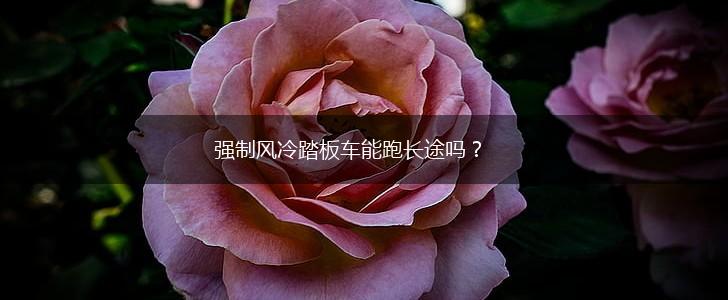 强制风冷踏板车能跑长途吗？,第1张