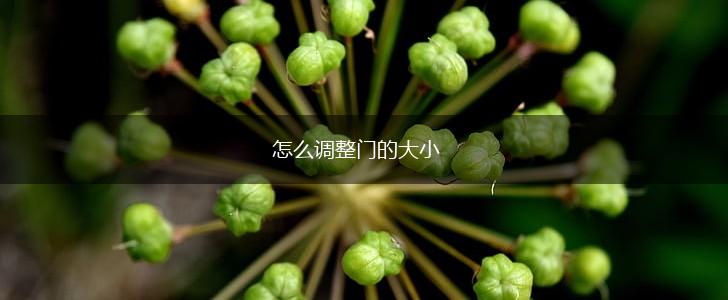 怎么调整门的大小,第1张