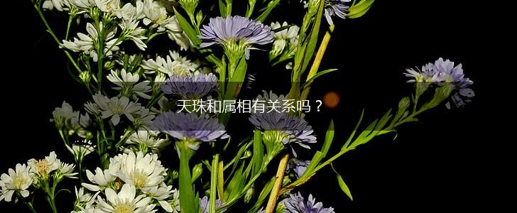 天珠和属相有关系吗？,第1张