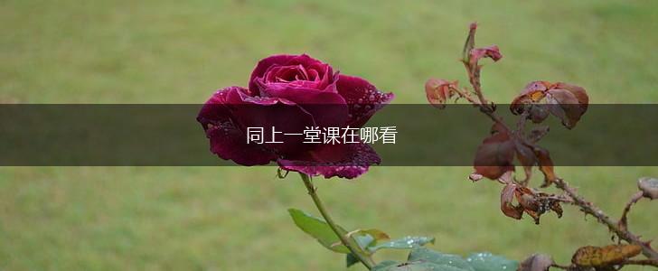 同上一堂课在哪看,第1张