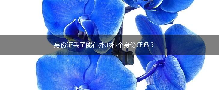 身份证丢了能在外地补个身份证吗？,第1张