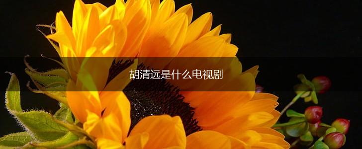 胡清远是什么电视剧,第1张