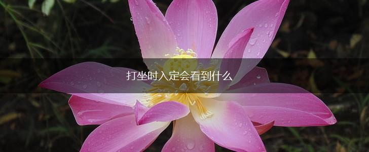 打坐时入定会看到什么,第1张