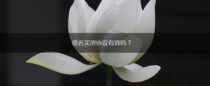 借名买房协议有效吗？,第1张