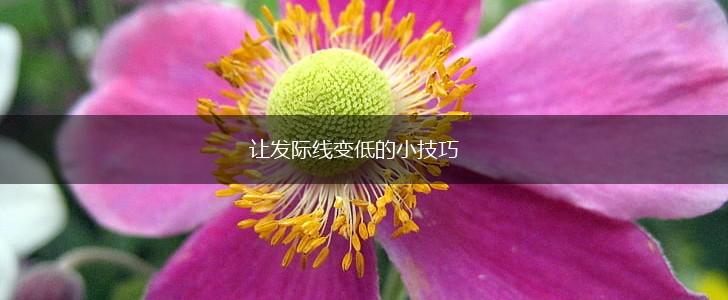 让发际线变低的小技巧,第1张