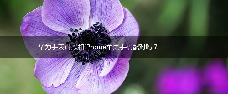 华为手表可以和iPhone苹果手机配对吗？,第1张