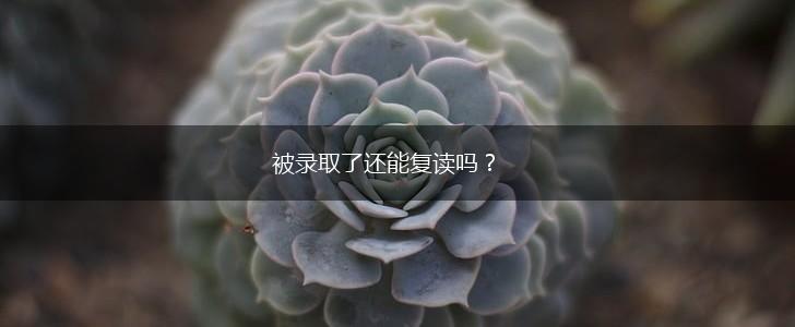 被录取了还能复读吗？,第1张