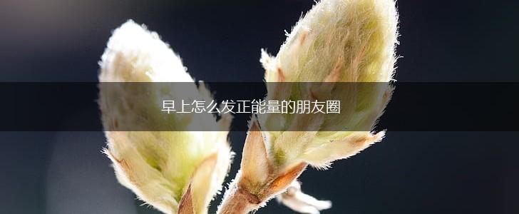 早上怎么发正能量的朋友圈,第1张