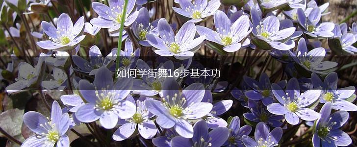 如何学街舞16步基本功,第1张