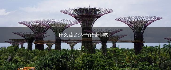什么蔬菜适合配辣根吃,第1张