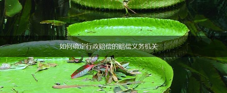 如何确定行政赔偿的赔偿义务机关,第1张