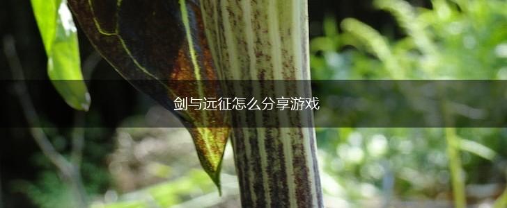 剑与远征怎么分享游戏,第1张 剑与远征怎么分享游戏,第1张