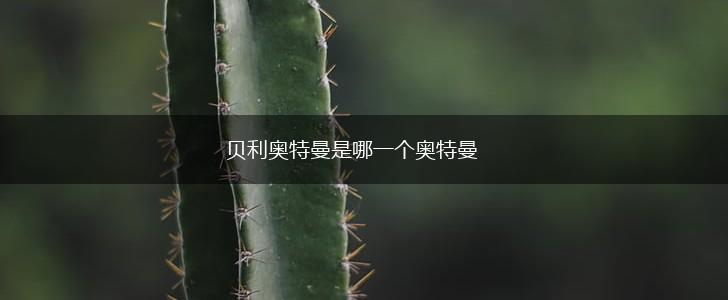 贝利奥特曼是哪一个奥特曼,第1张 贝利奥特曼是哪一个奥特曼,第1张