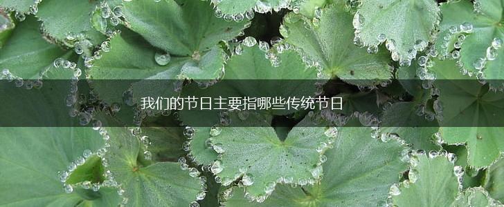 我们的节日主要指哪些传统节日,第1张