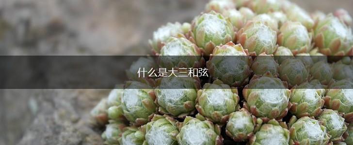 什么是大三和弦,第1张