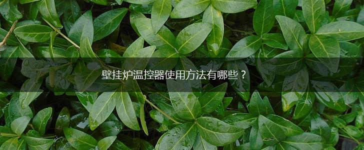 壁挂炉温控器使用方法有哪些？,第1张