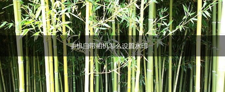 手机自带相机怎么设置水印,第1张 手机自带相机怎么设置水印,第1张