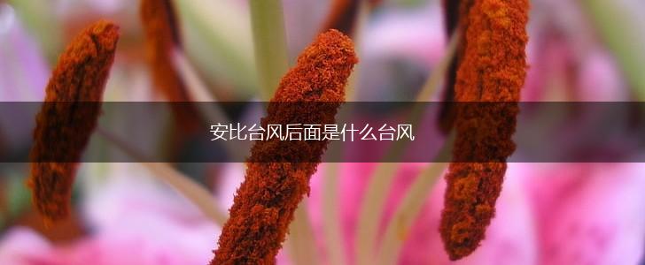 安比台风后面是什么台风,第1张