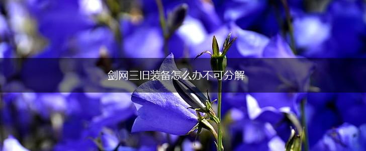 剑网三旧装备怎么办不可分解,第1张