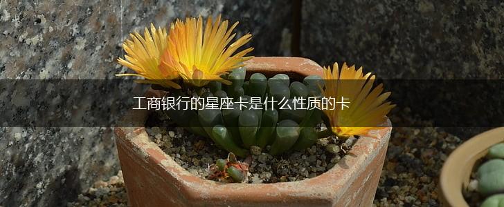 工商银行的星座卡是什么性质的卡,第1张