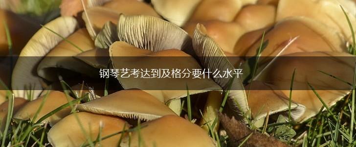 钢琴艺考达到及格分要什么水平,第1张