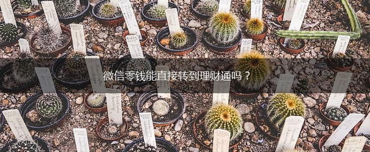 微信零钱能直接转到理财通吗?,第1张 微信零钱能直接转到理财通吗?,第1张